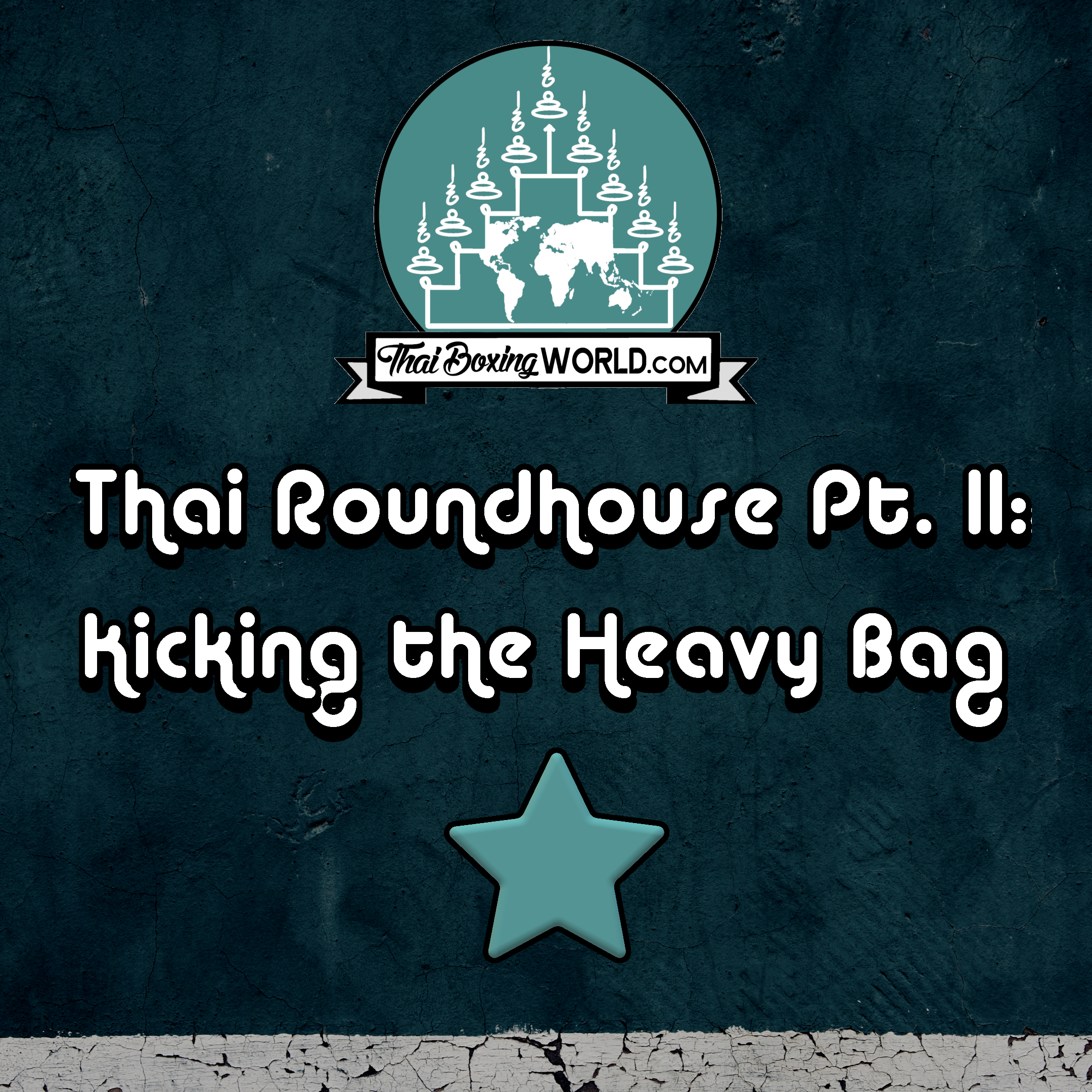 Thai Roundhouse Basics II: Heavy Bag Kicks
