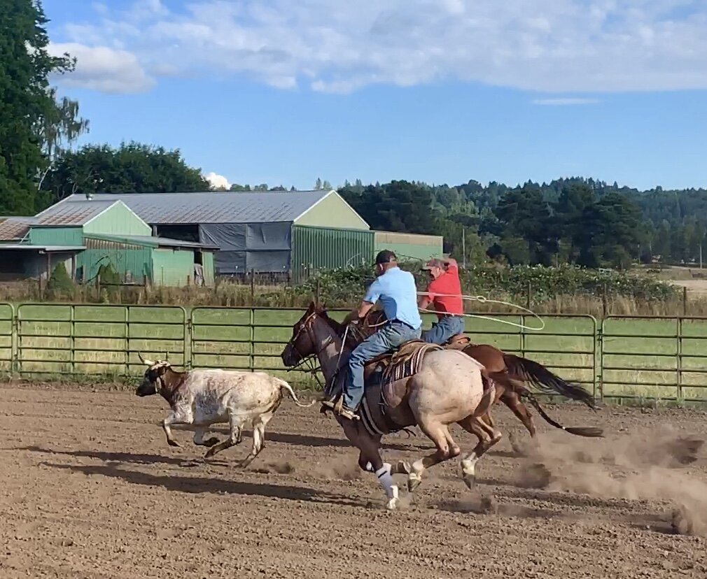 Intro to Roping #3