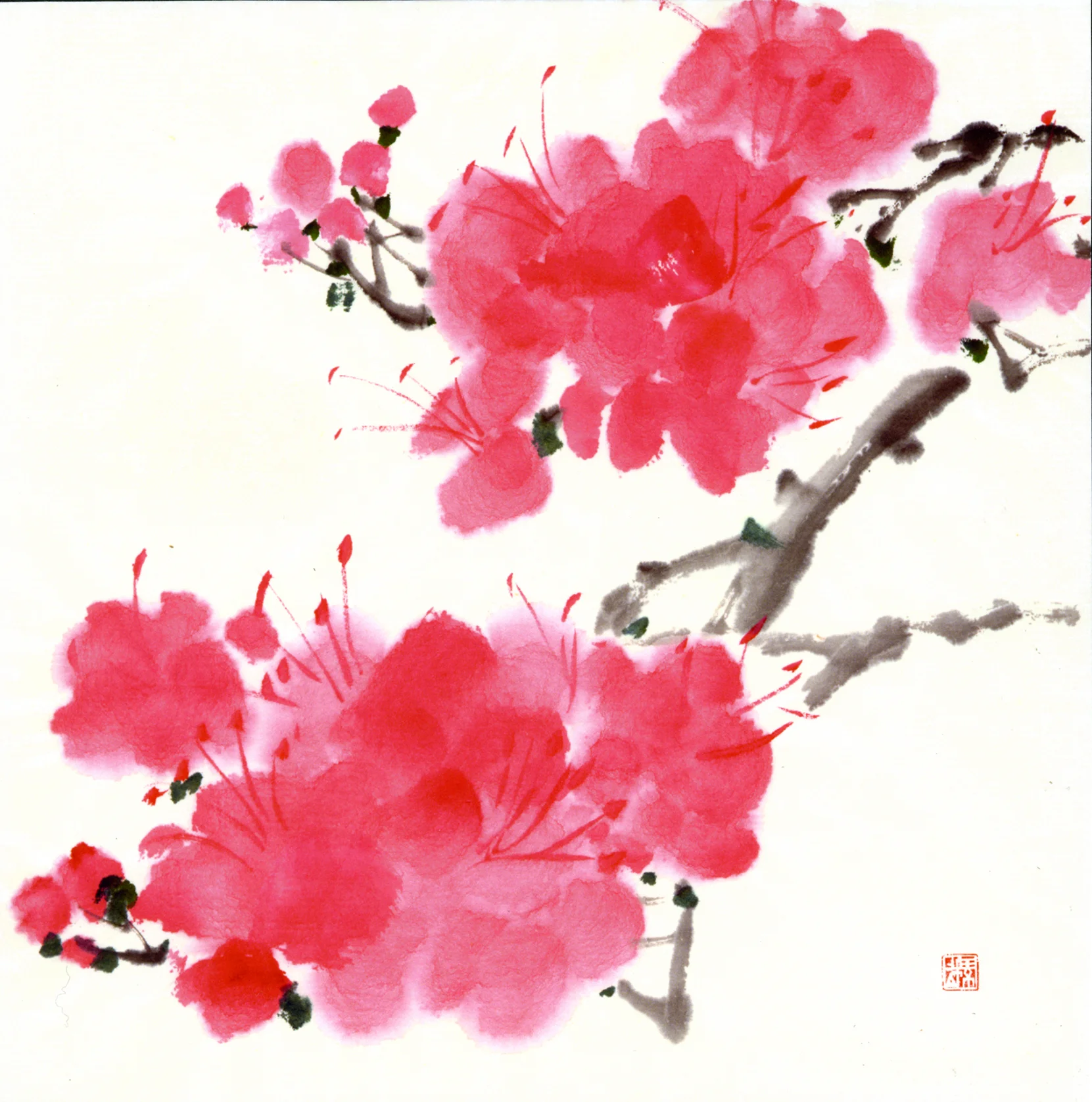 pink-flwer.jpg