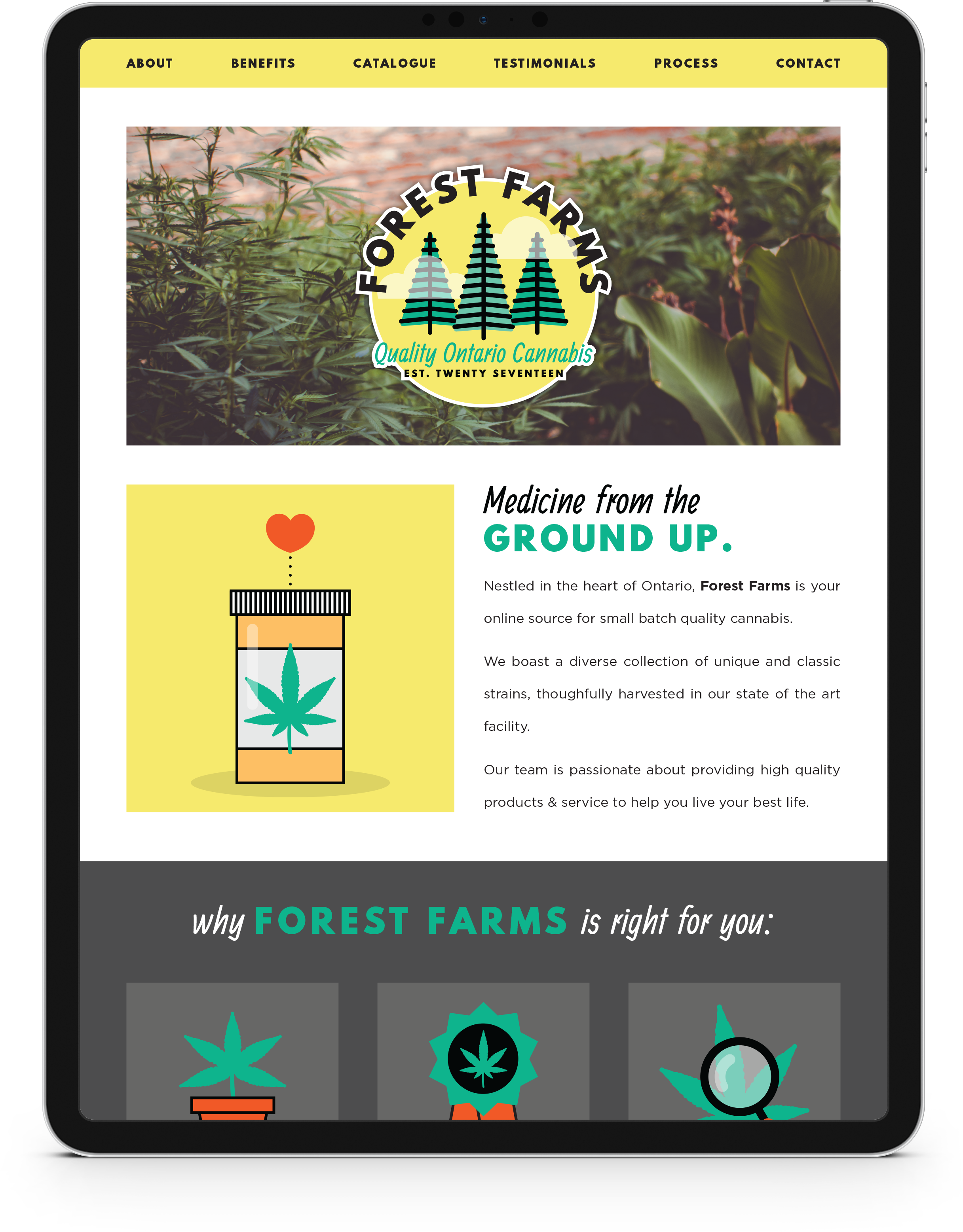 TCR-ForestFarms-Web-I.png