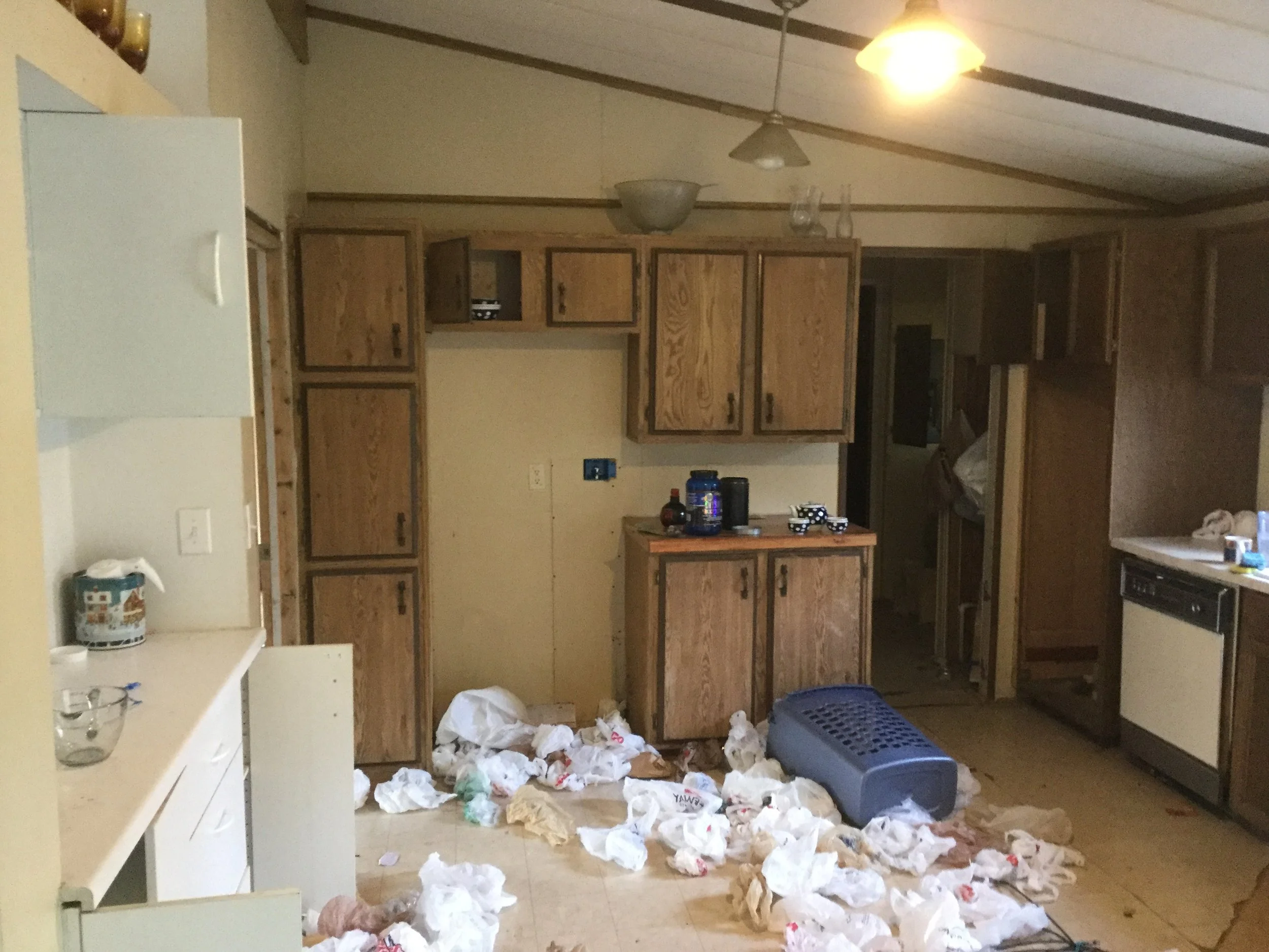 Interior Image old 1.JPG