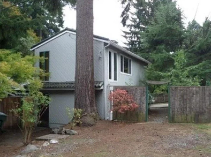 House in 2015 shortly before the removal of the tree which had grown to well over 100’ tall.