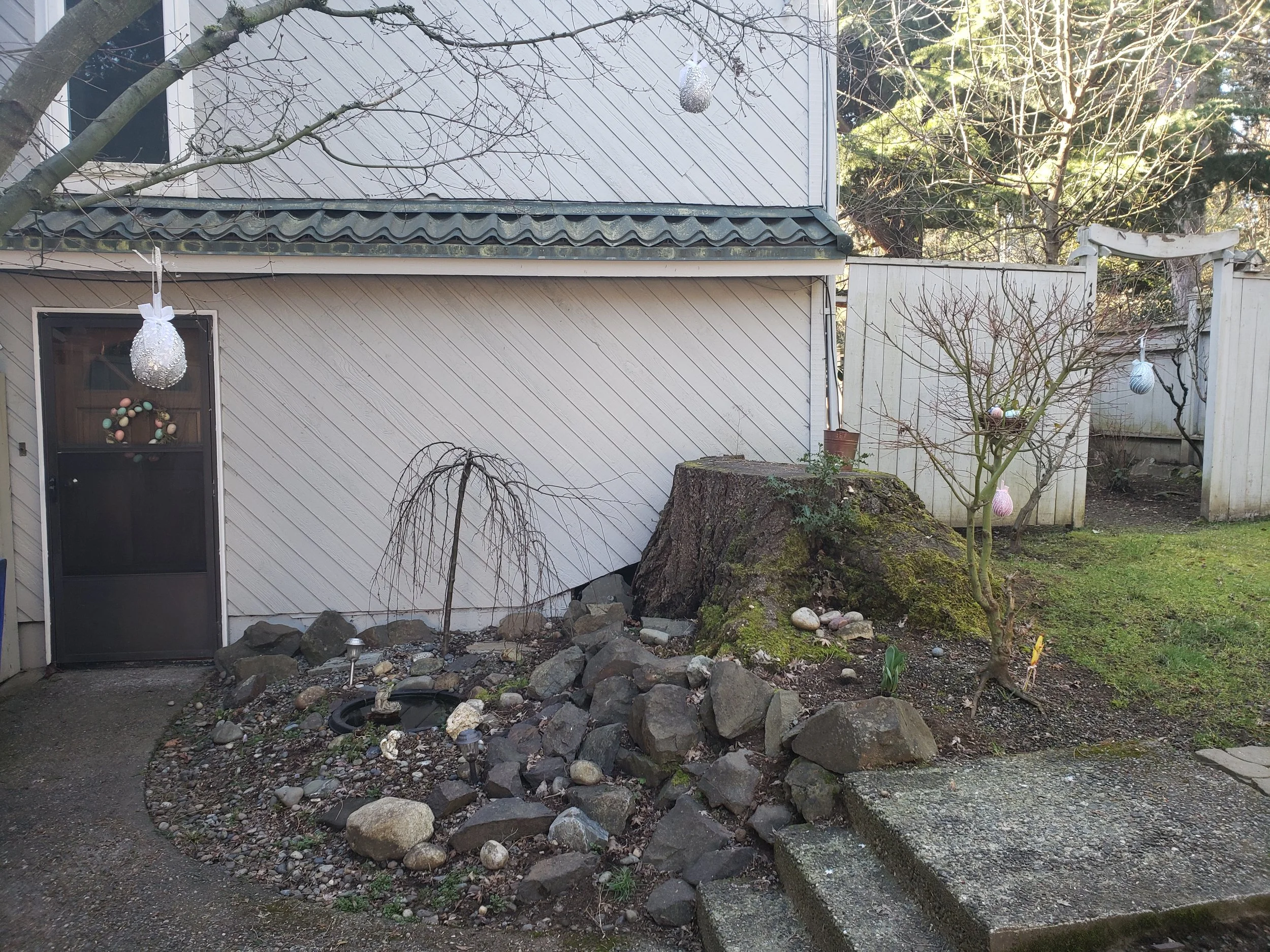 20190319_093750 (1).jpg