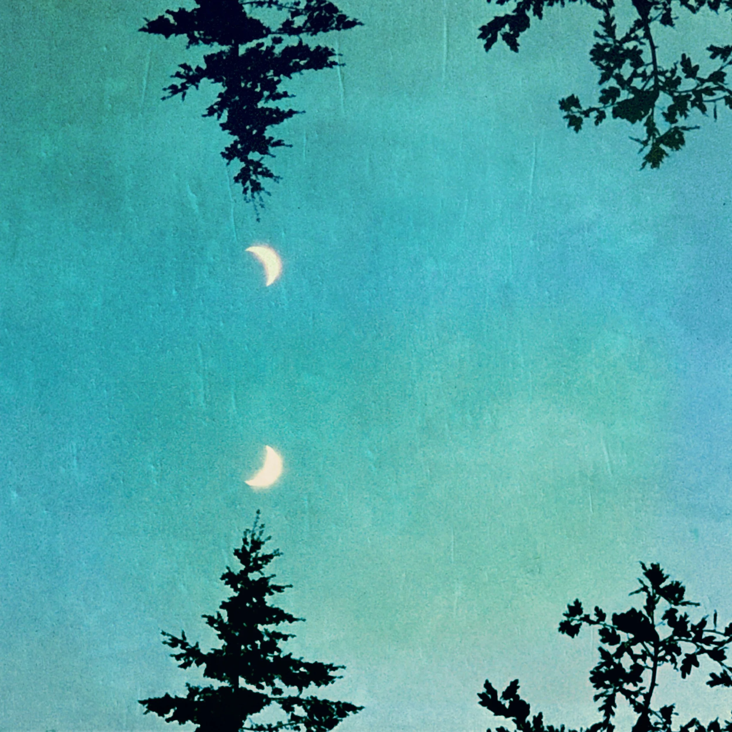 2018-06-16_21-53-52_720 (2019-01-13T05_32_17.081).jpeg