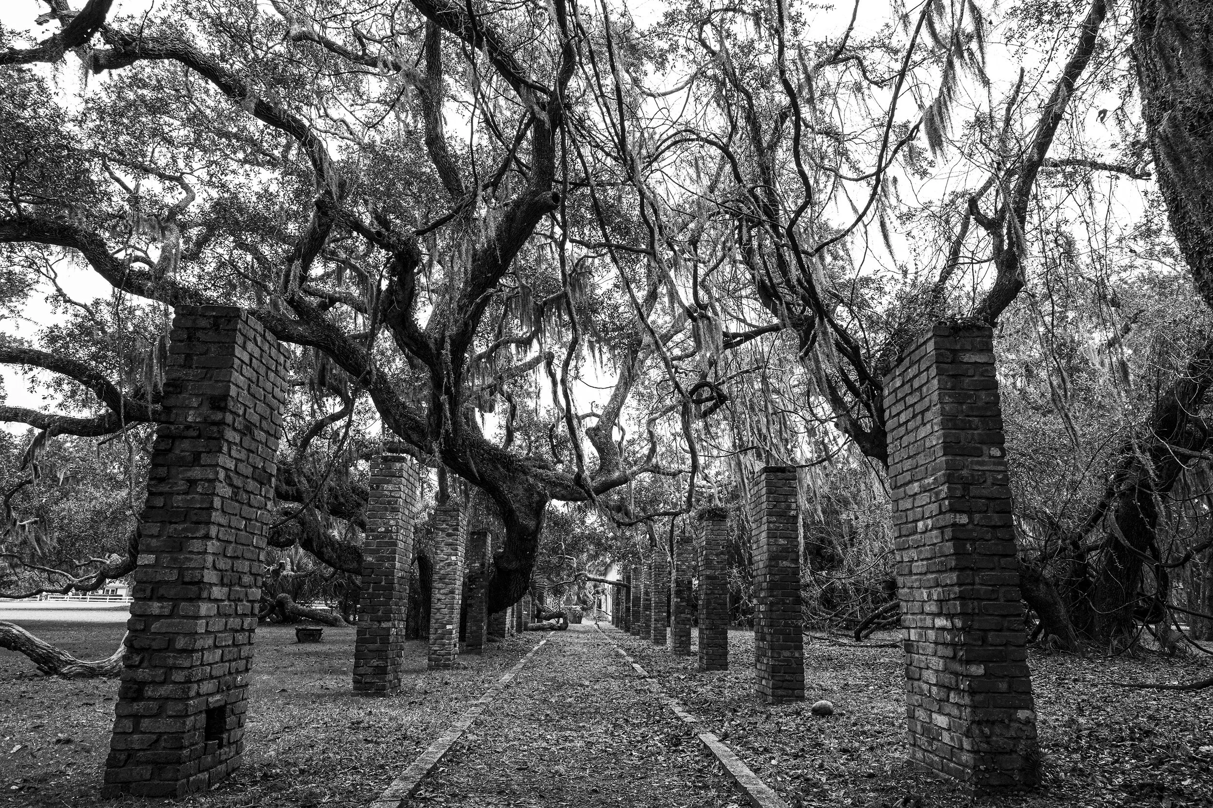 black and white gogo small.jpg