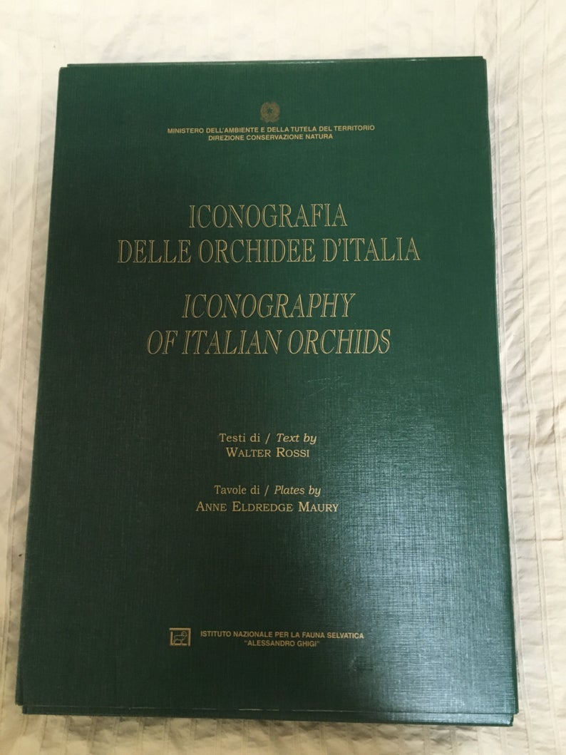 Iconography of Italian Orchids