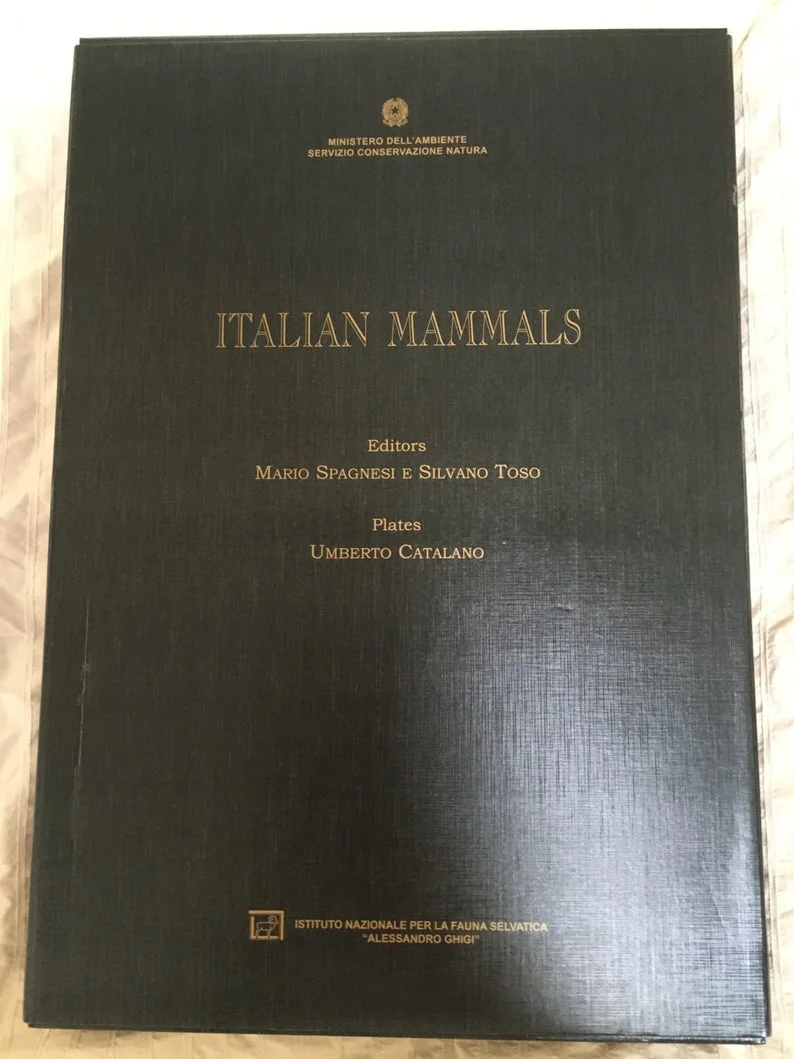 Italian Mammals 
