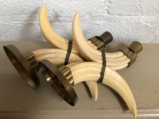 bone 4.png