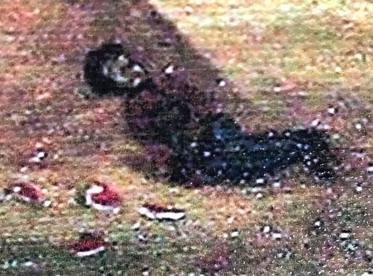 Screen Shot 2023-01-19 at 4.51.23 PM.png