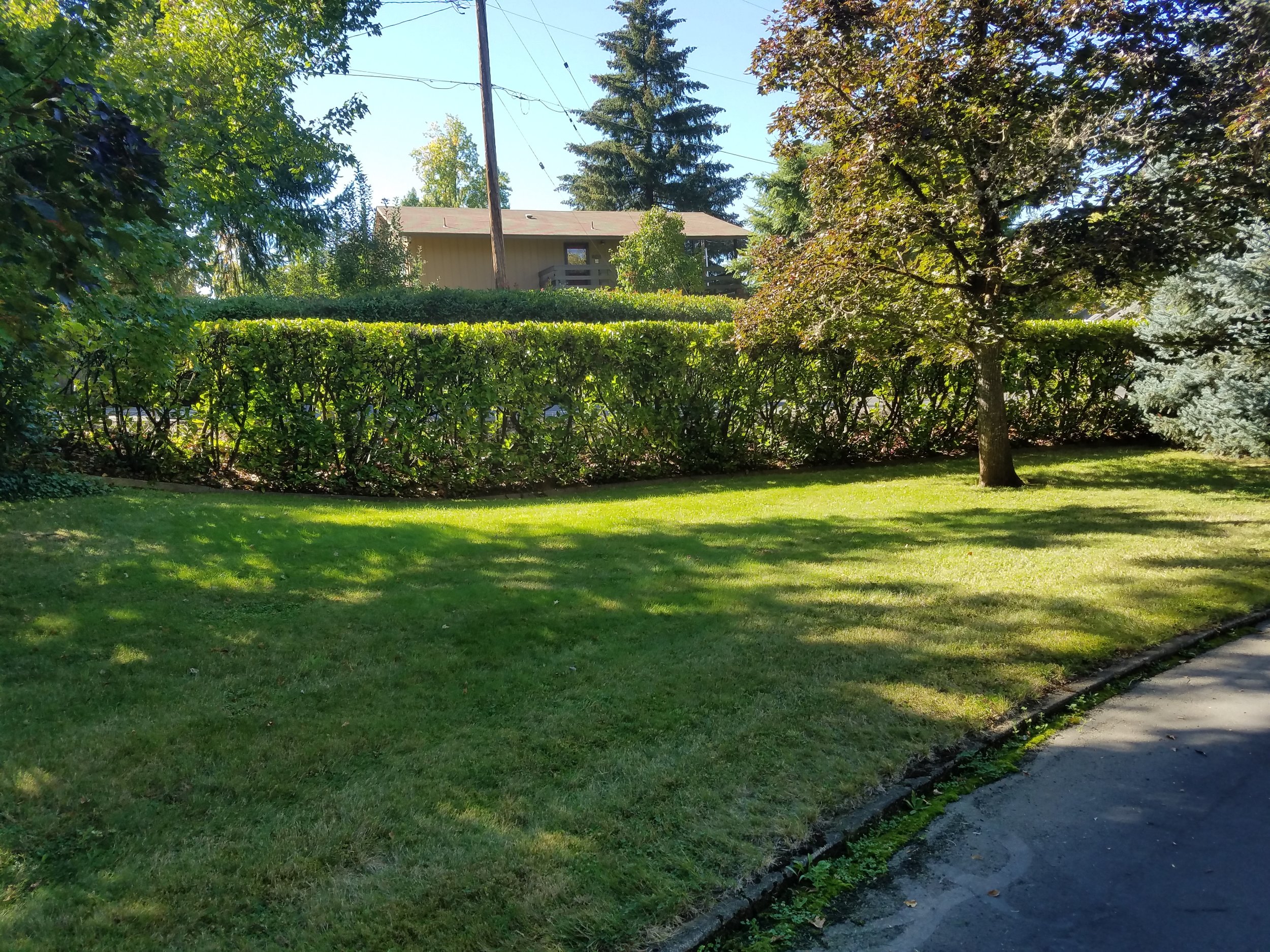 20180924_152812.jpg