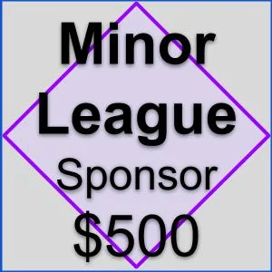 Sponsorship Overview _ Minor League.jpg