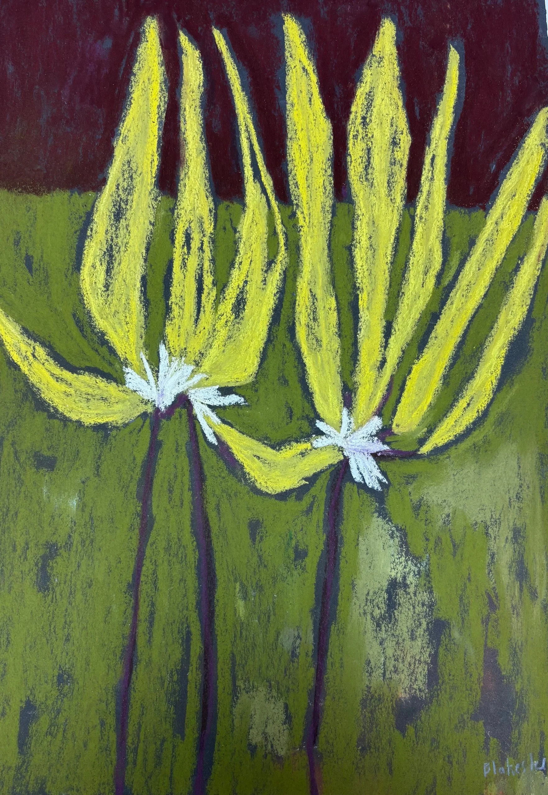 Yellow Leaves