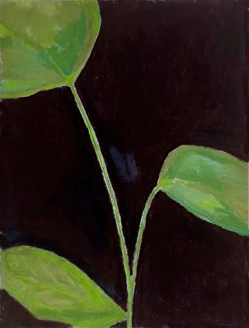 Green Leaves