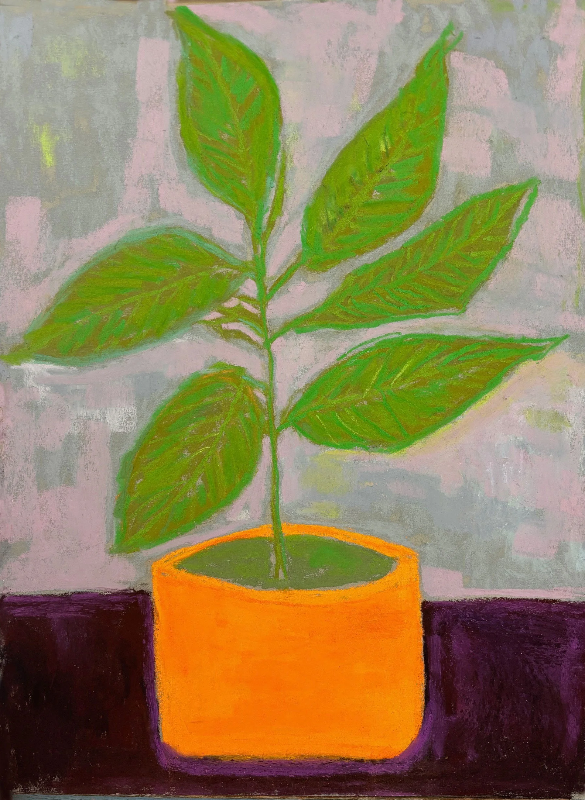Orange Potted Plant