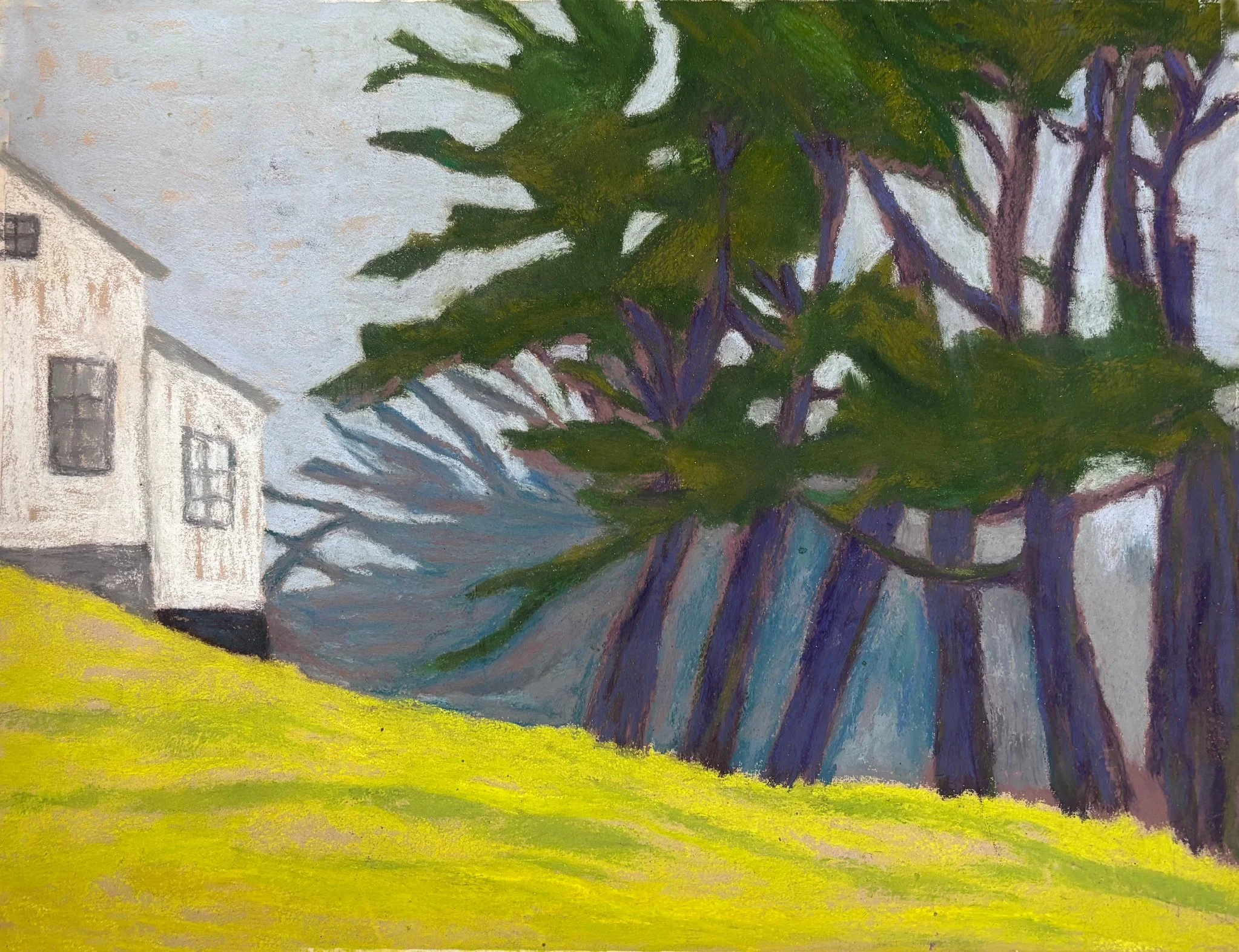 Cypress Trees