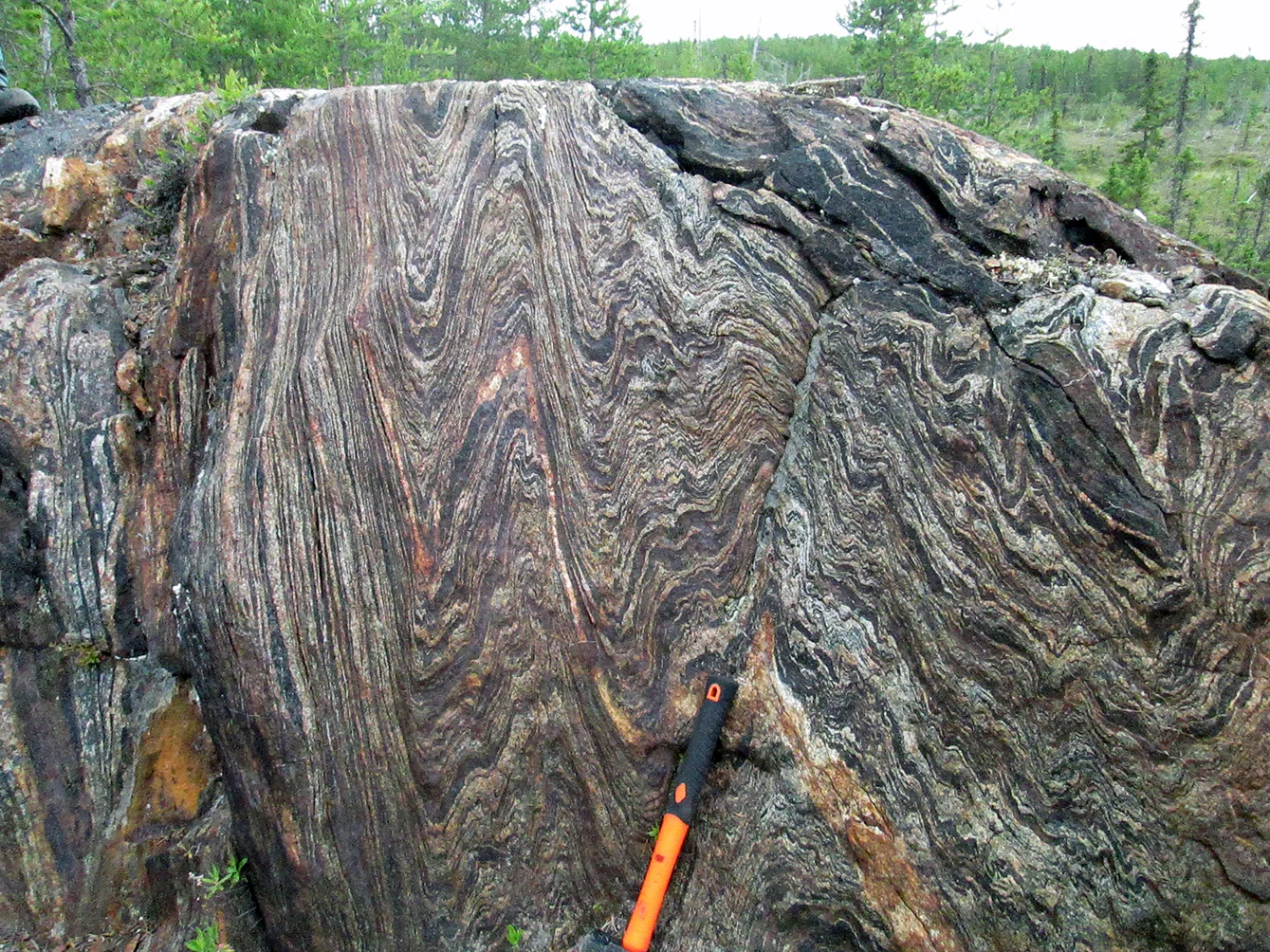 texture02.jpg