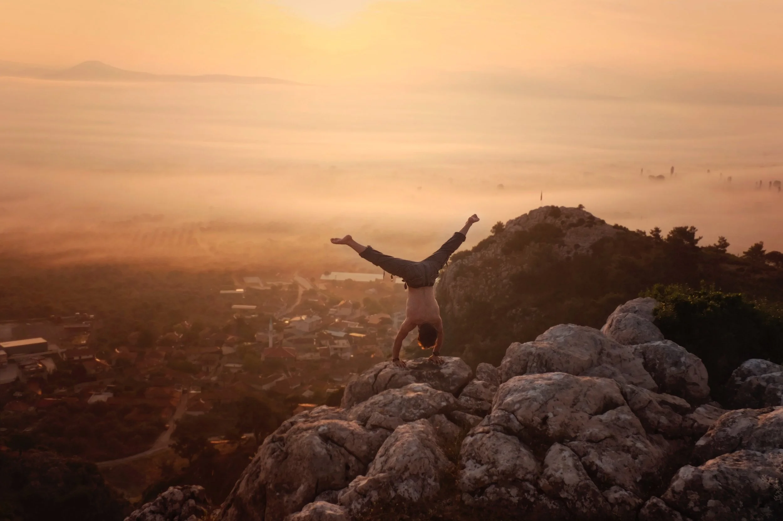15d_Handstand Manifesto.jpg