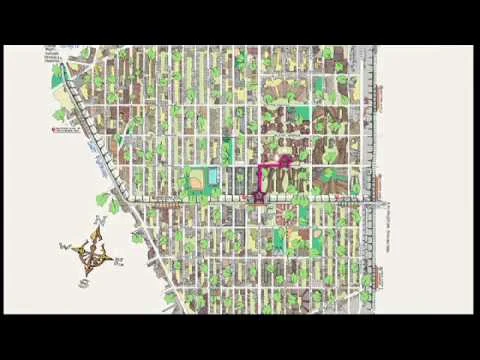 MAS Short Talk: Report from Brownsville