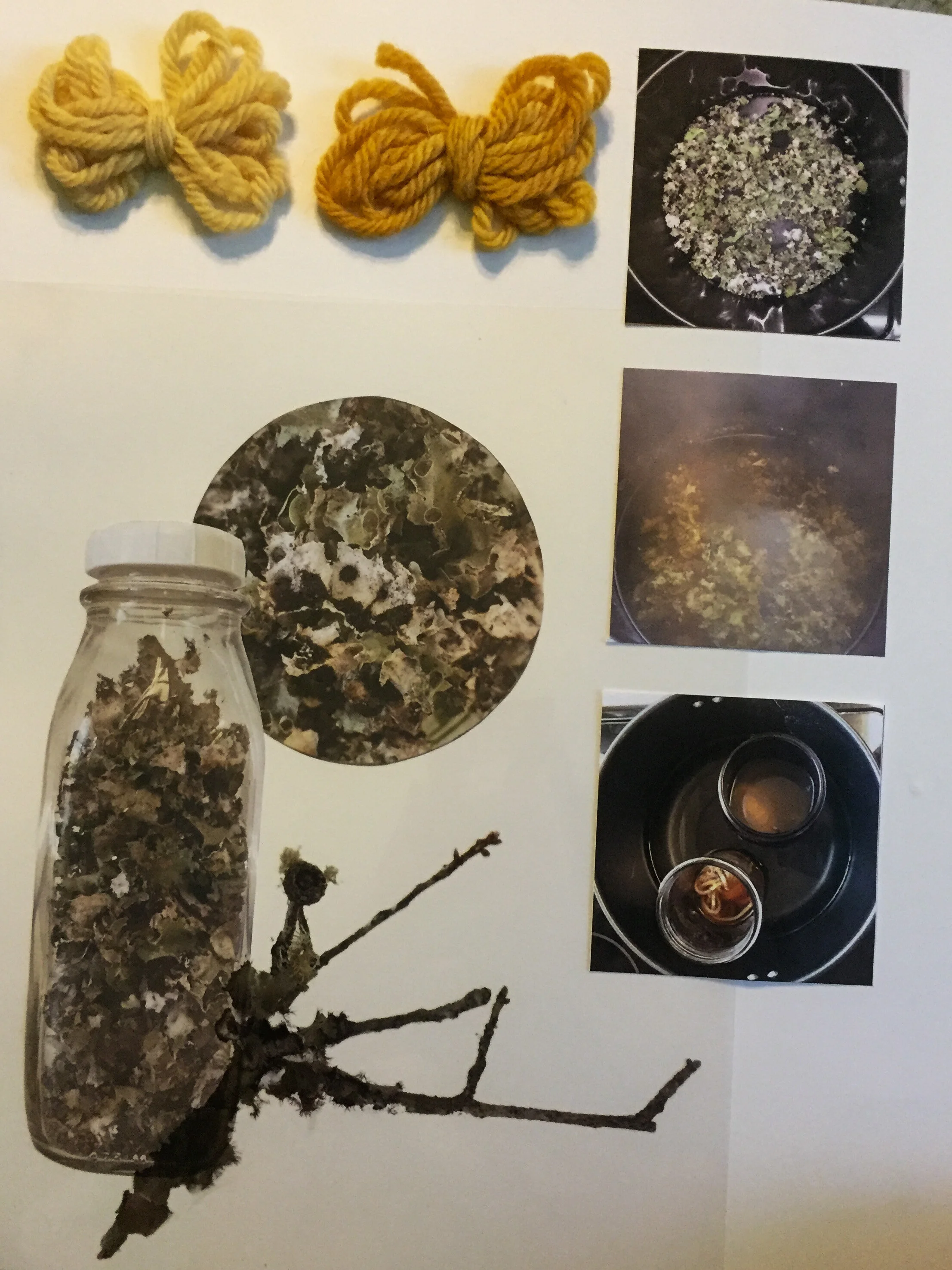 Dyed of: The Beginnings