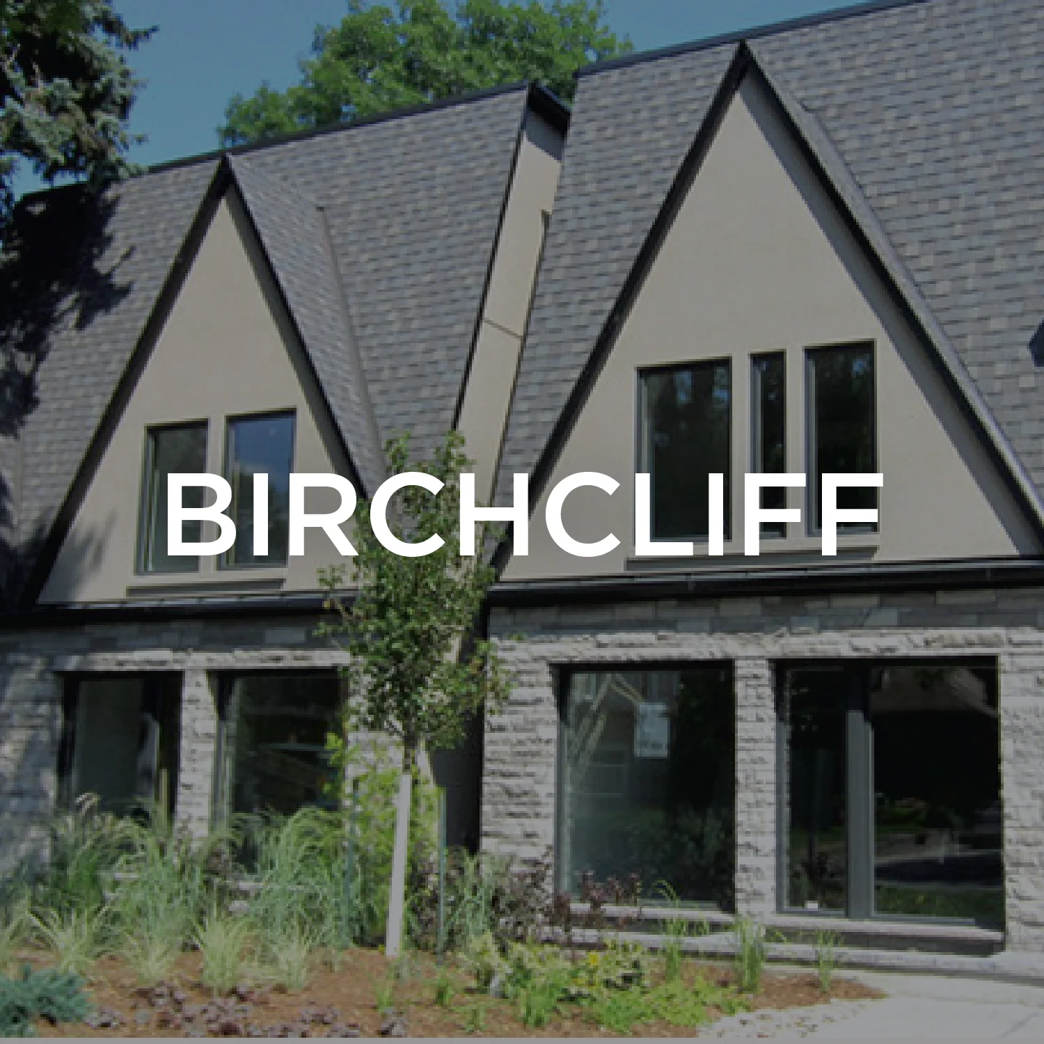 Birchcliff.jpg