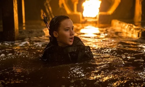 Mockingjay 03.jpg