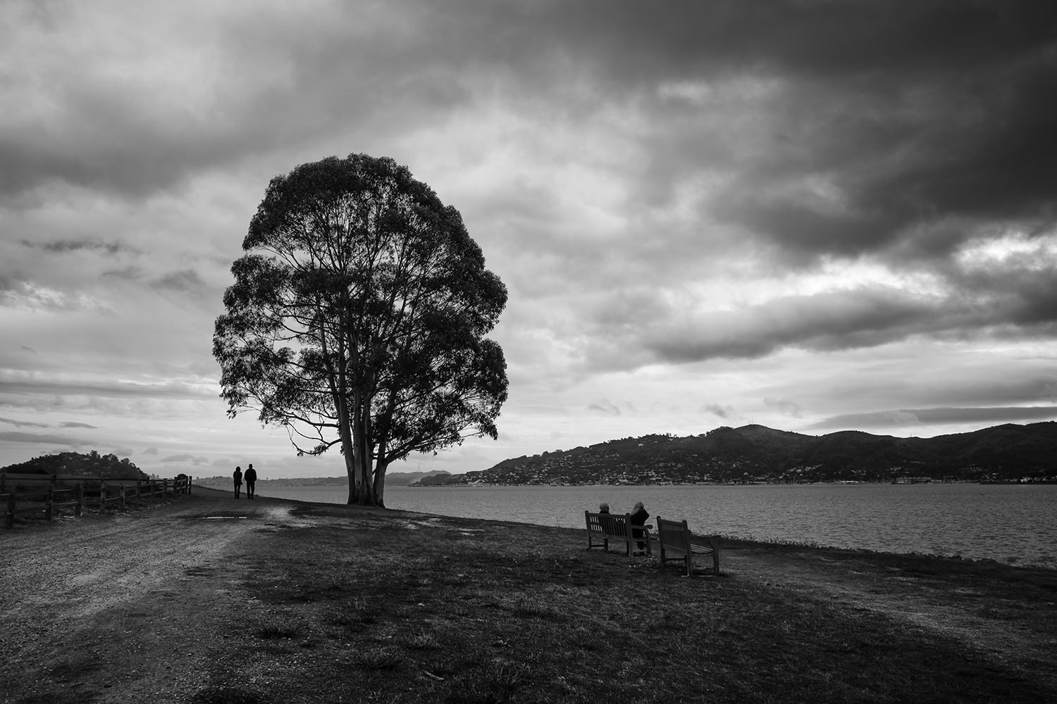 blackies-pasture-david-mullin.jpg