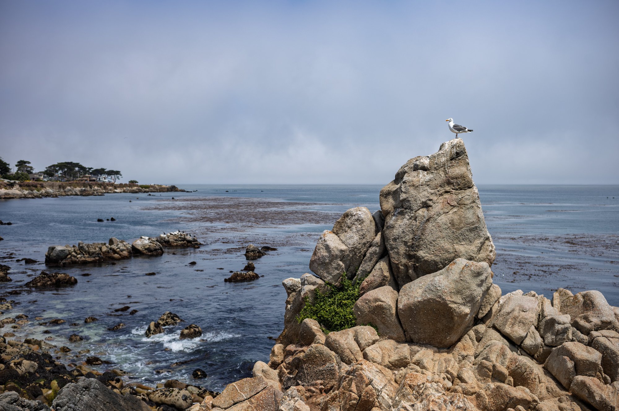 Capitola - By the Sea