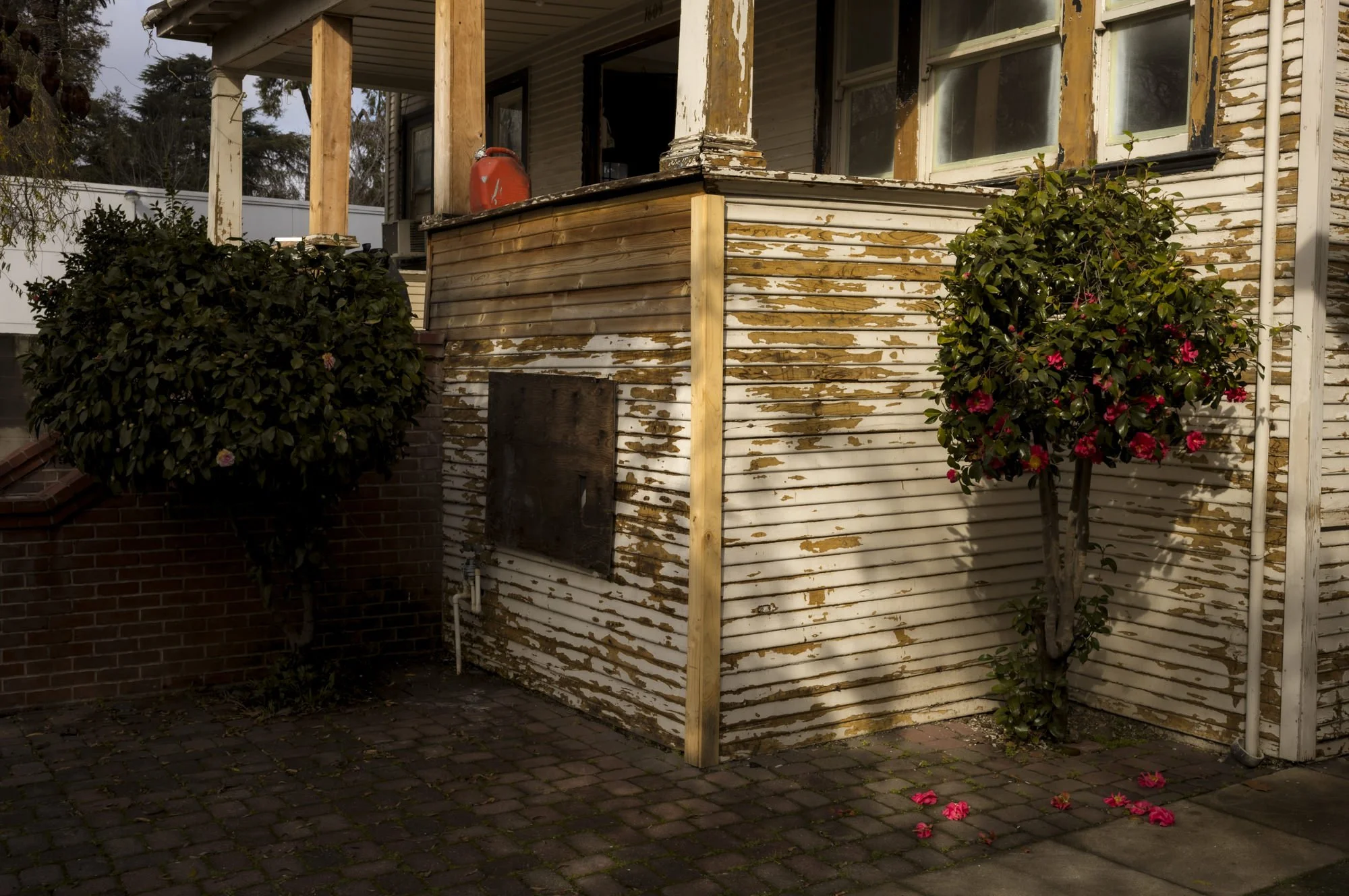Old House with fallen leaves from a tree