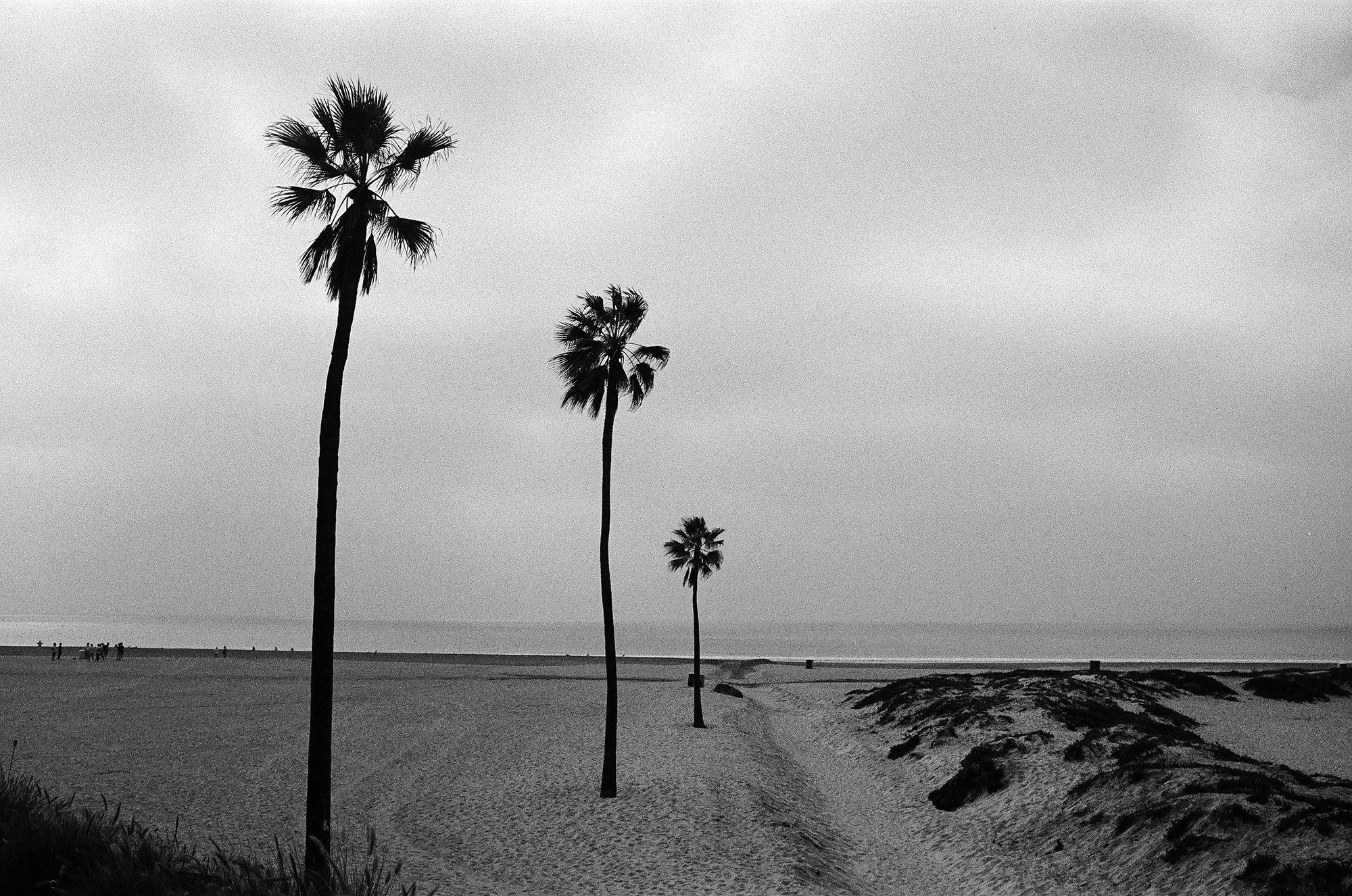 tres_david-mullin_tri-x.jpg