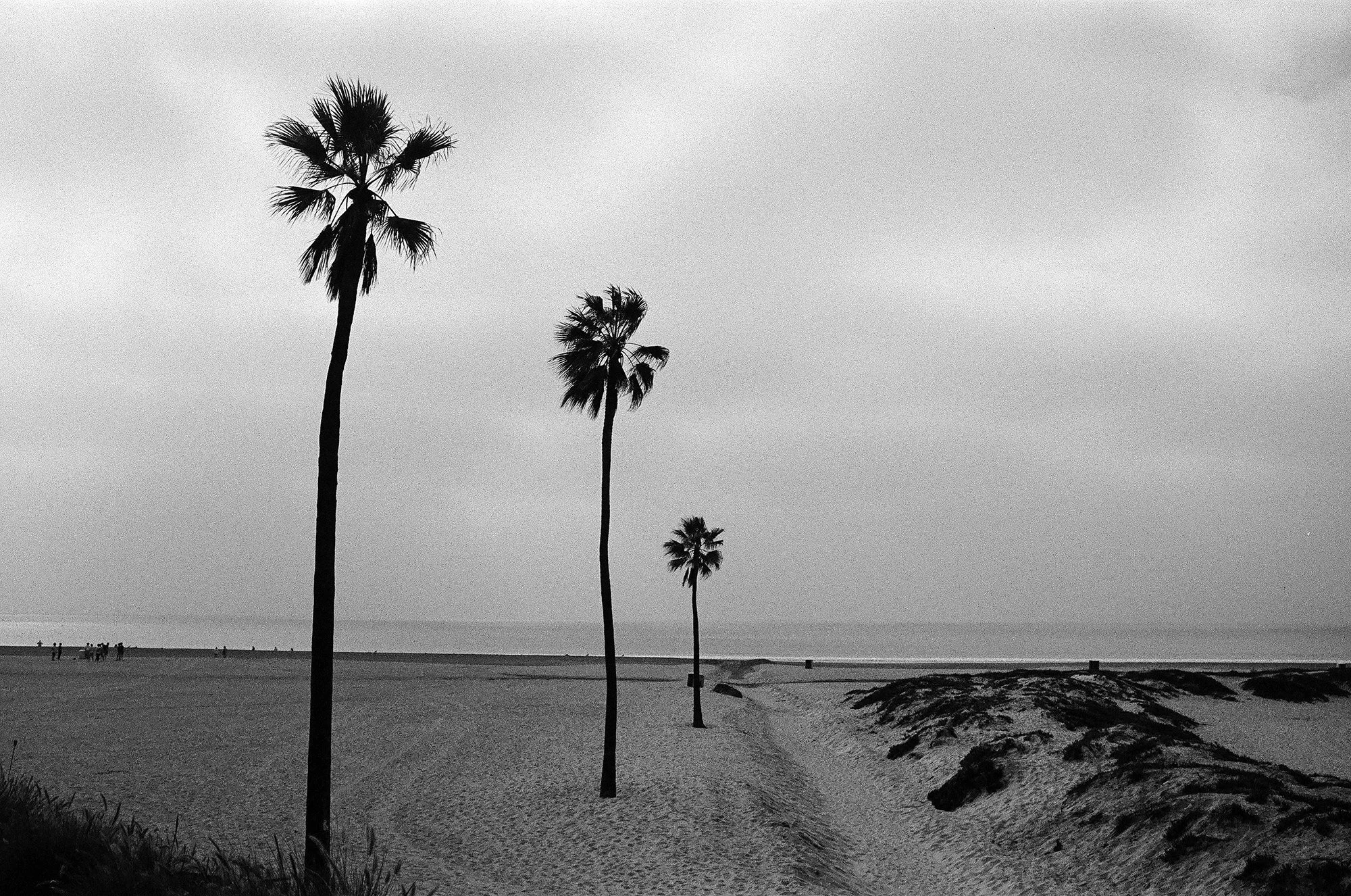 tres_david-mullin_tri-x.jpg