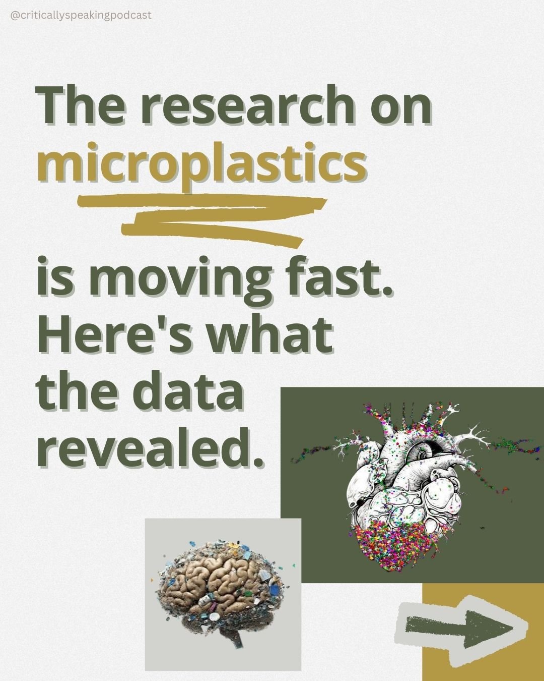 You have no idea what's inside your body.

Microplastics aren't passing through us. They're staying. Building up in our organs, our blood, our brains - and the levels keep climbing.

Dr. Kari Nadeau explains what the science actually shows about wher