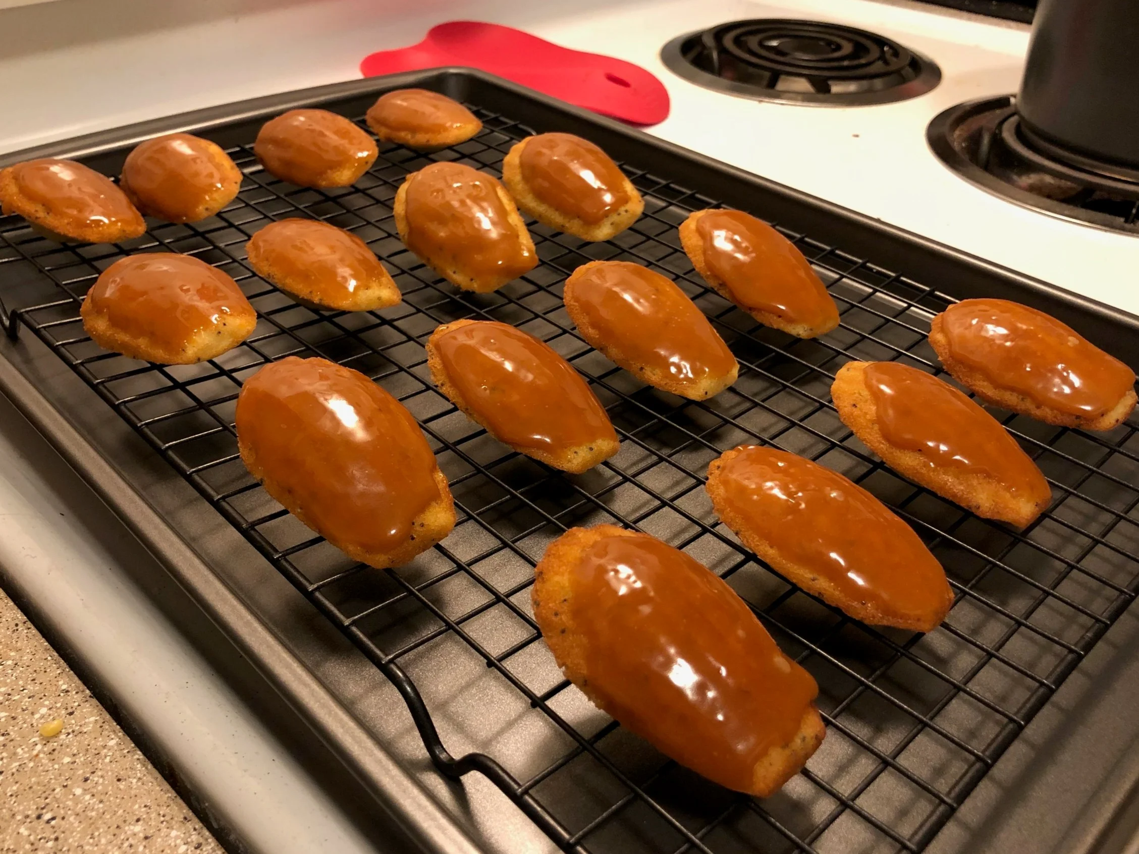 Dipped+Madeleines.jpg