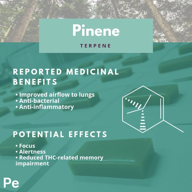 Pinene Profile.jpg