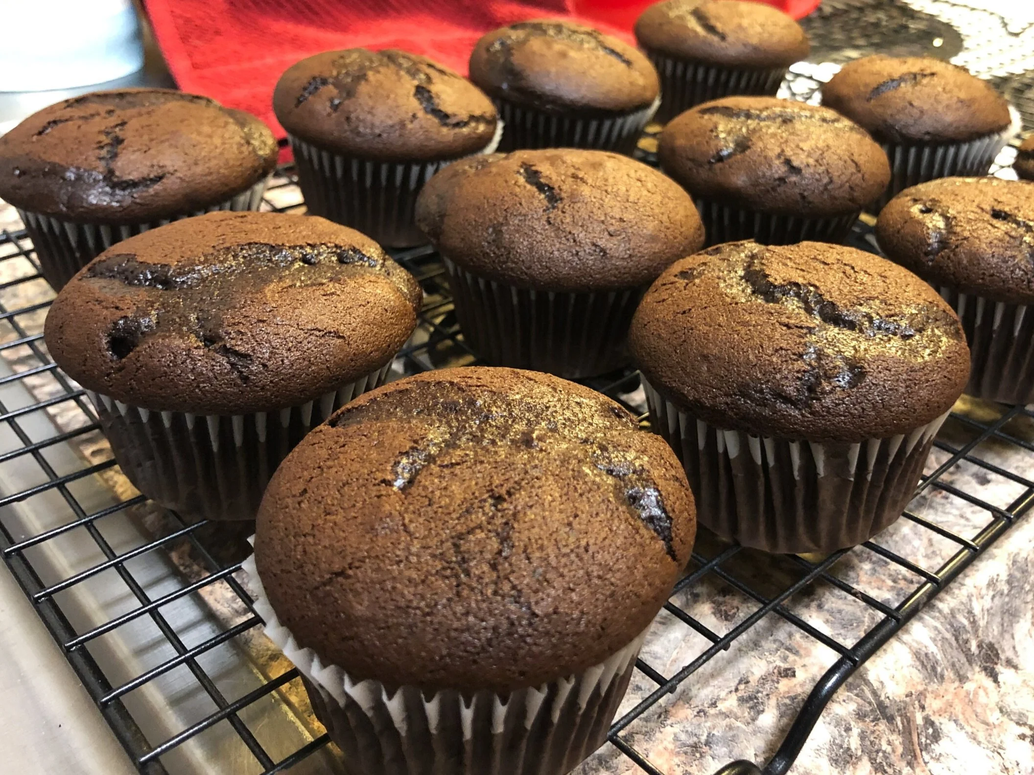 Cupcakes+without+Frosting.jpg
