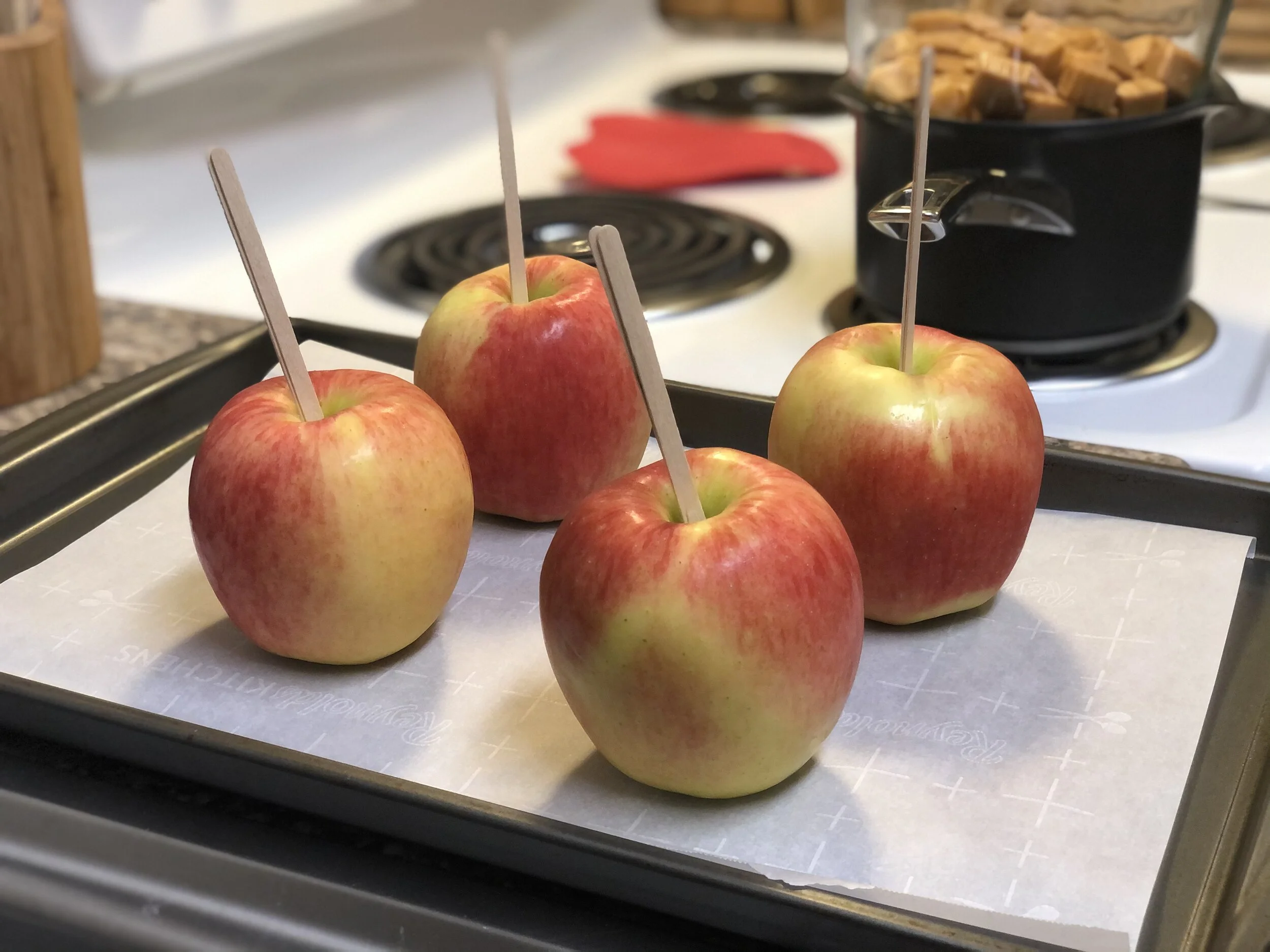 Apples with Sticks.jpg