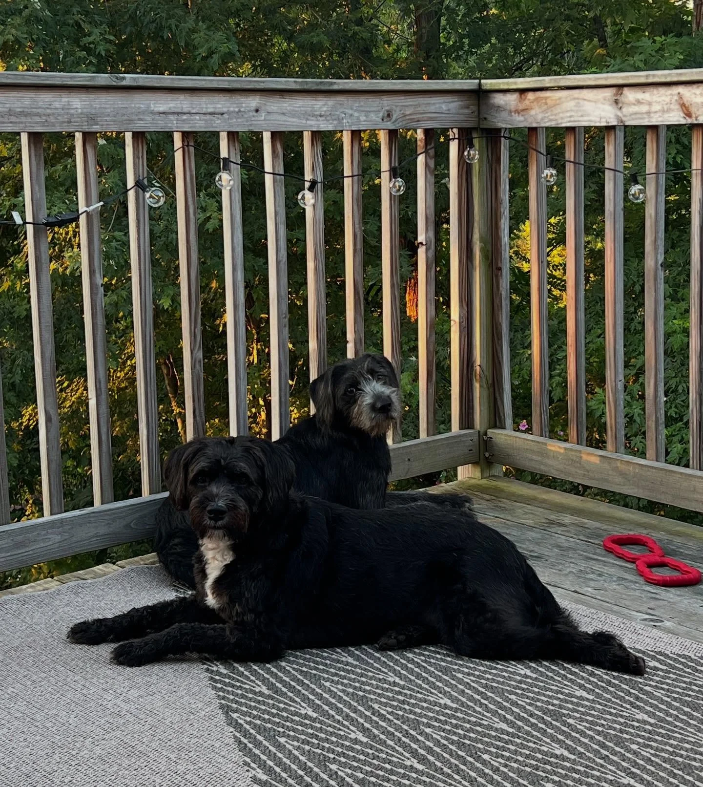 One day at a time. 💯🖤