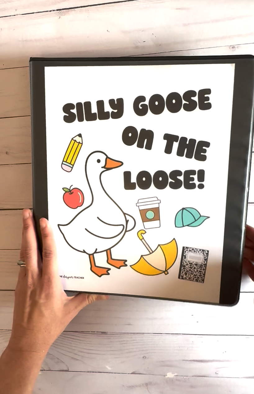 Make Your Own Classroom Goose on the Go