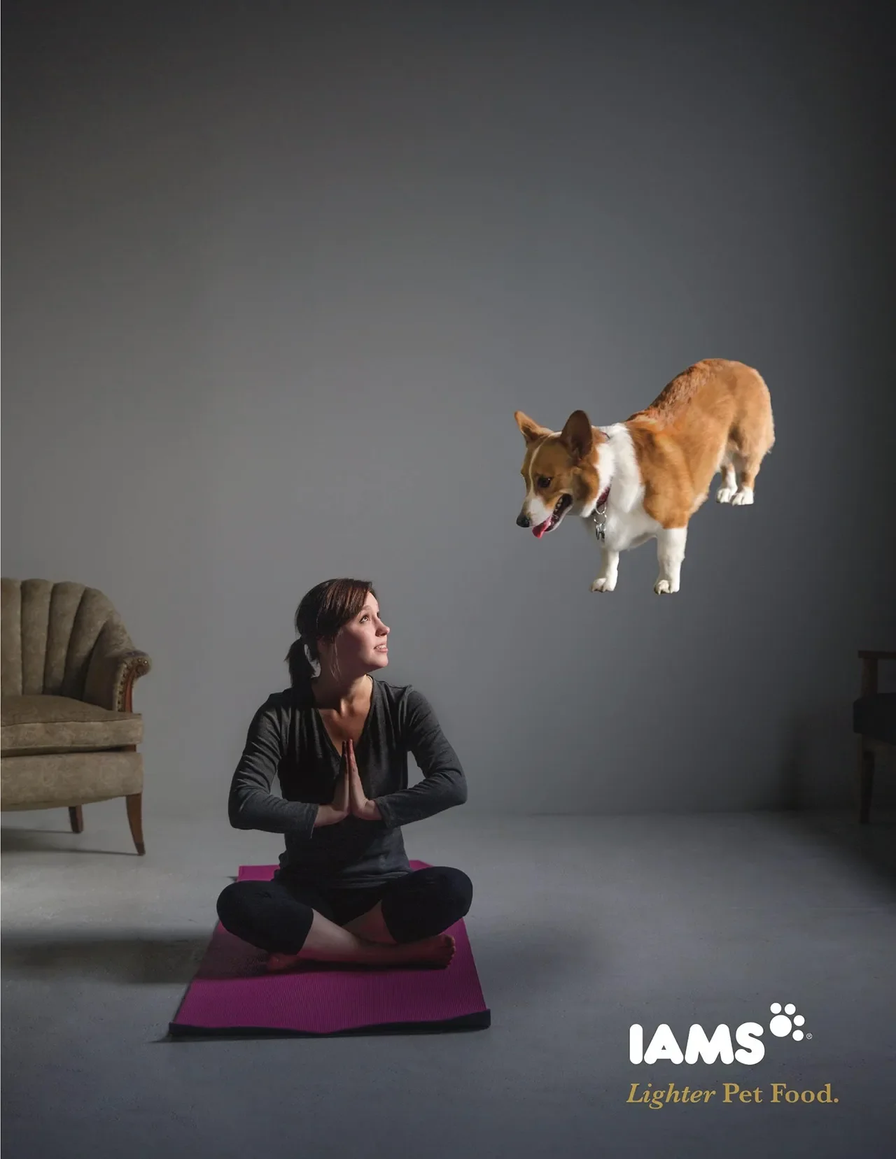 Iams- Lighter Pet Food