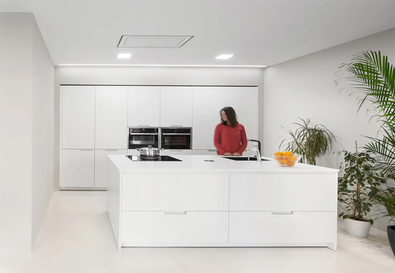 Moderngrannyflat ADUSanDiego SanDiegoArchitecture Ramiro Losada Amor 03.jpg
