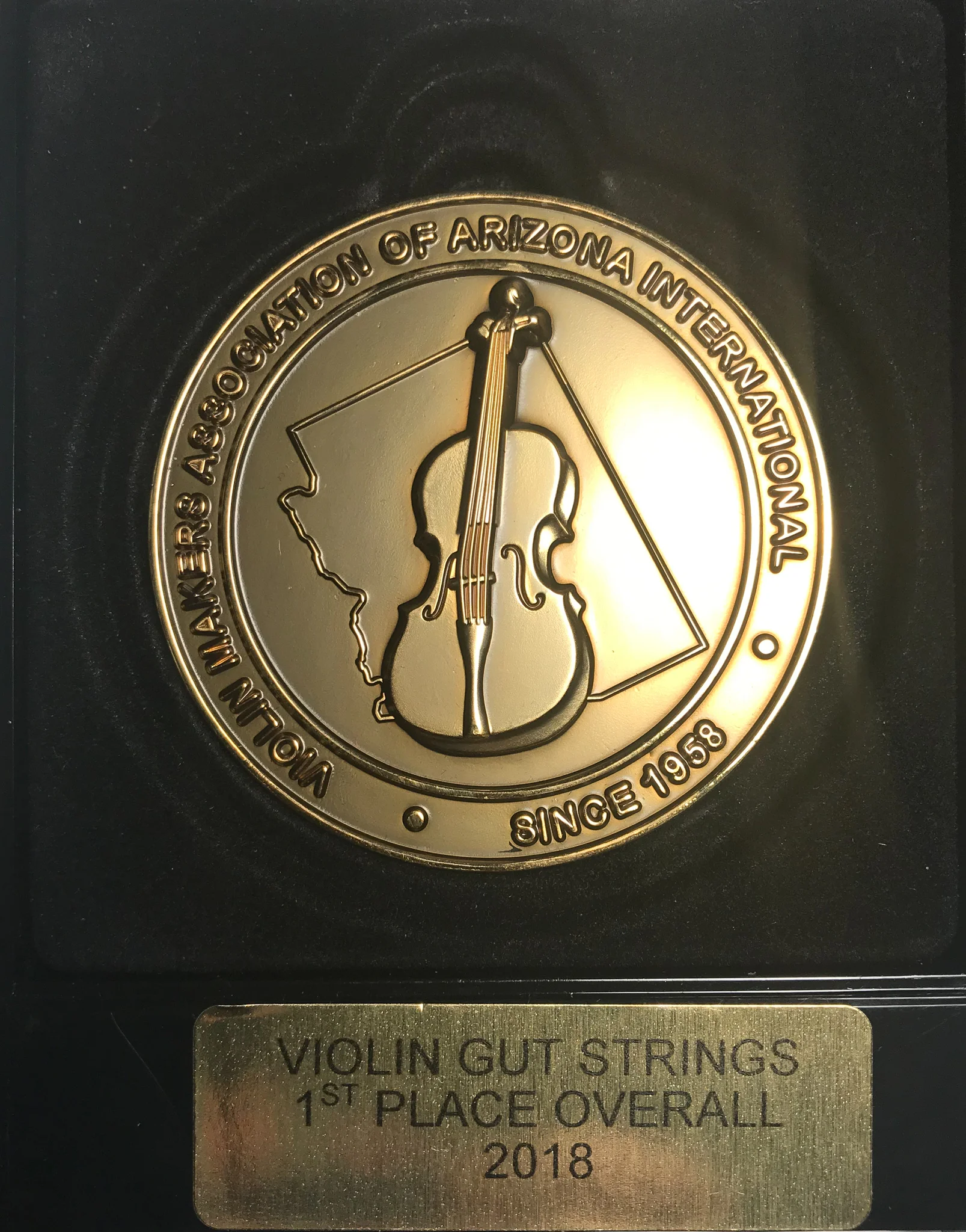 2018 VMAAI Over All Violin Gold