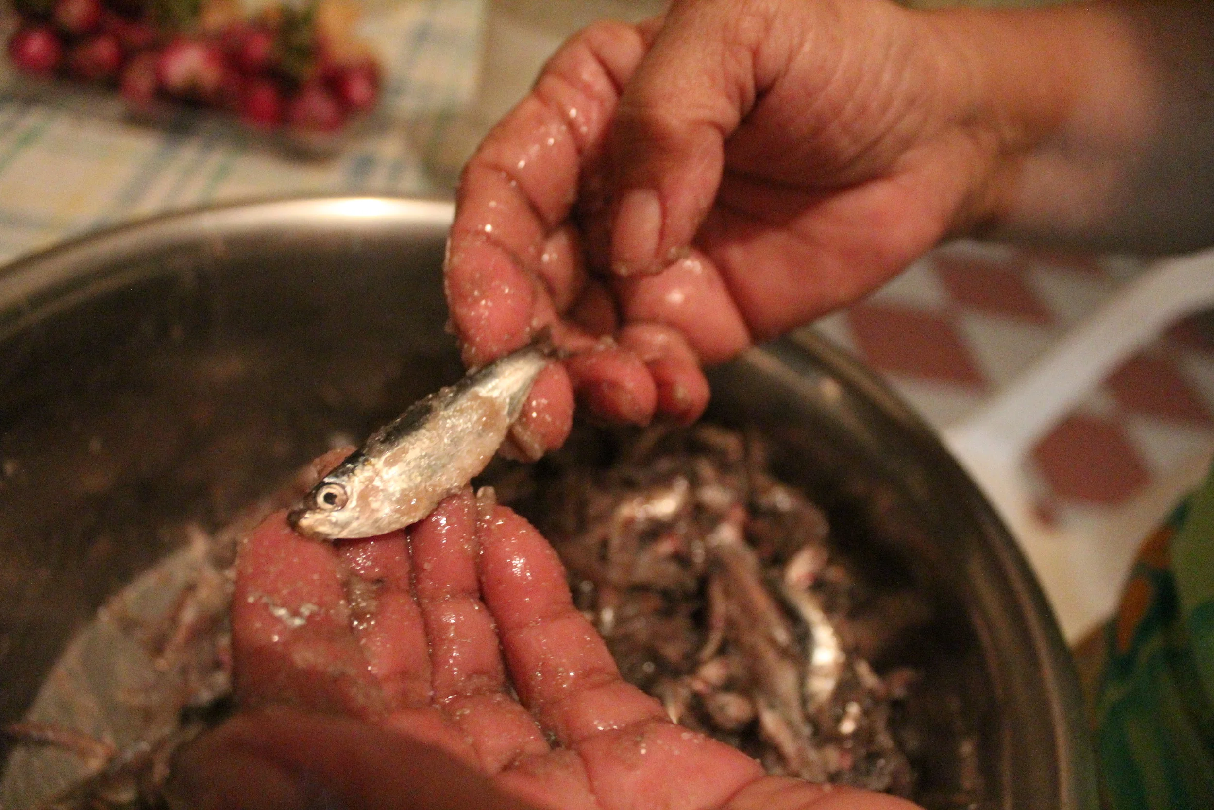 A sardine in salt.