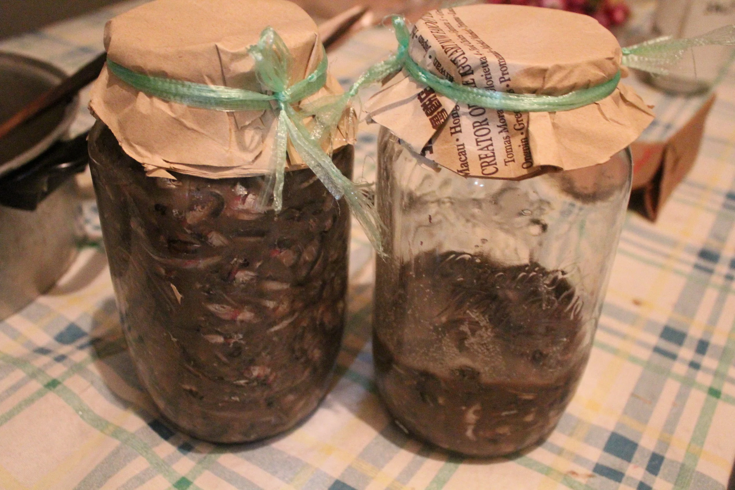 Homemade bagoong, ready for aging.