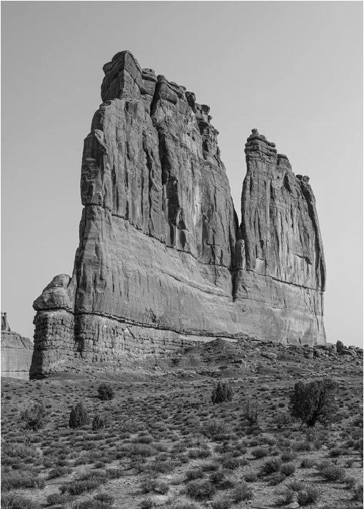 Black and white photo of a large rock formation in a desert landscape with sparse bushes and small trees.