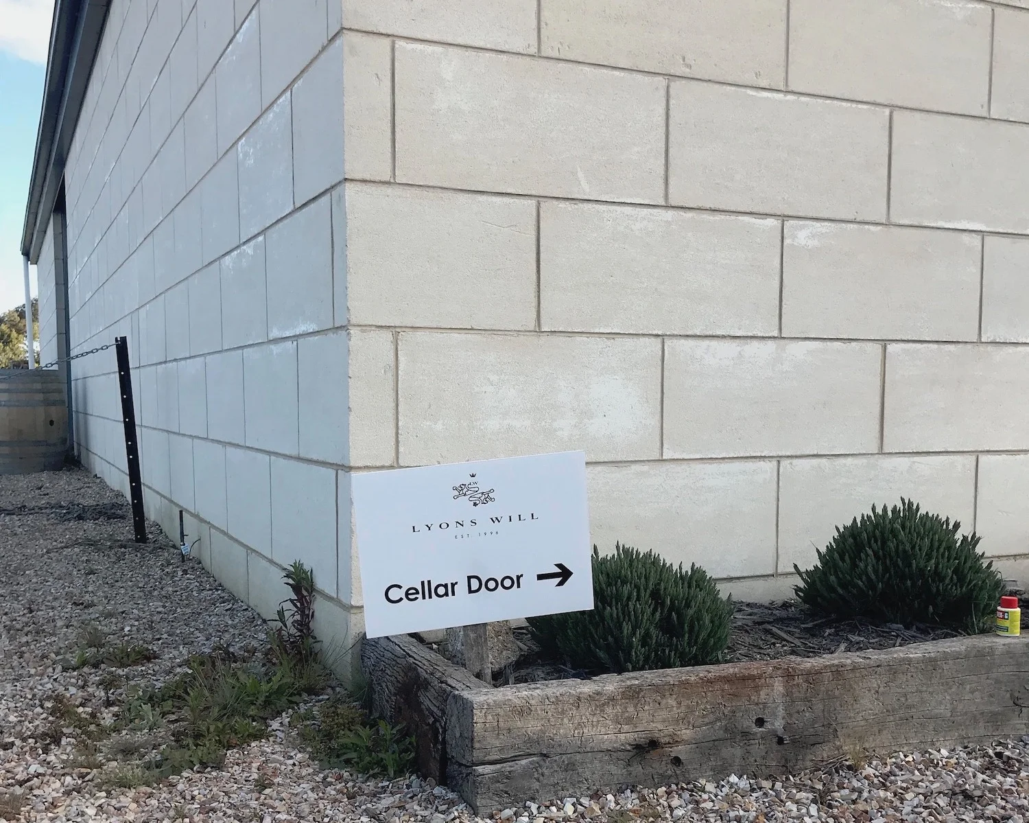 lyons-will-7.jpeg