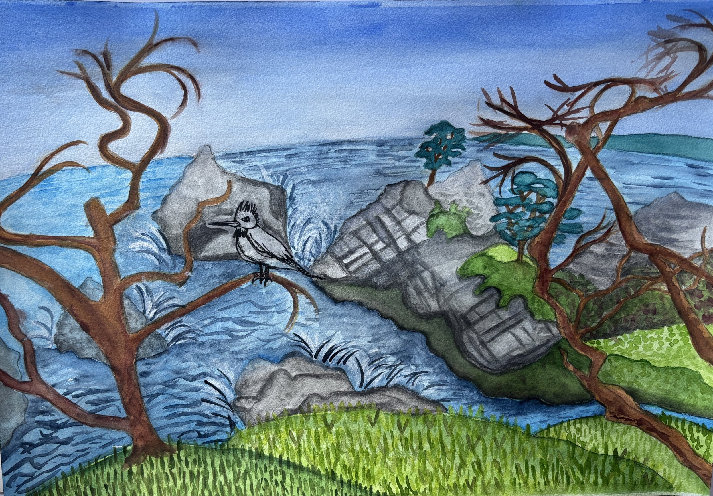 PointLobos.jpg