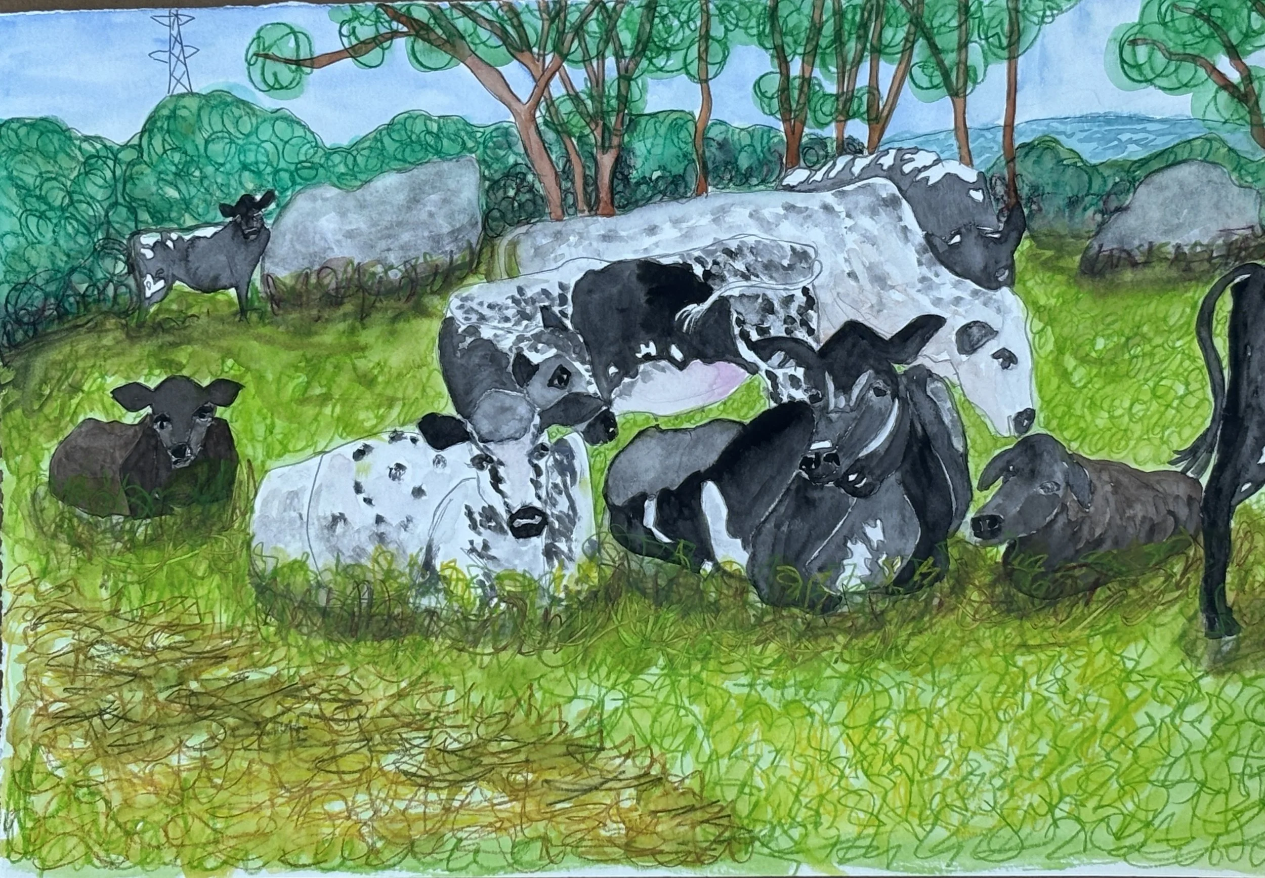 CowsChillin.jpg