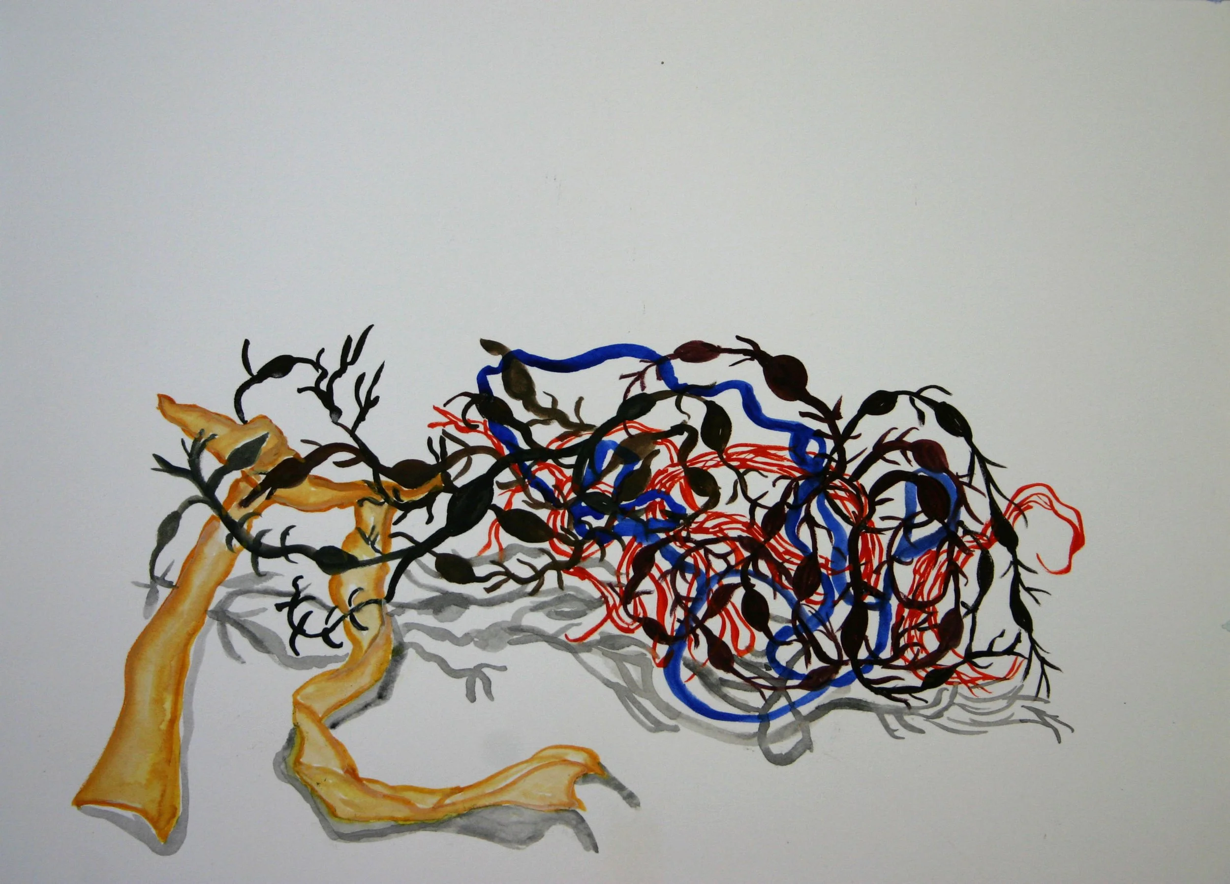 SeaWeed1.jpg