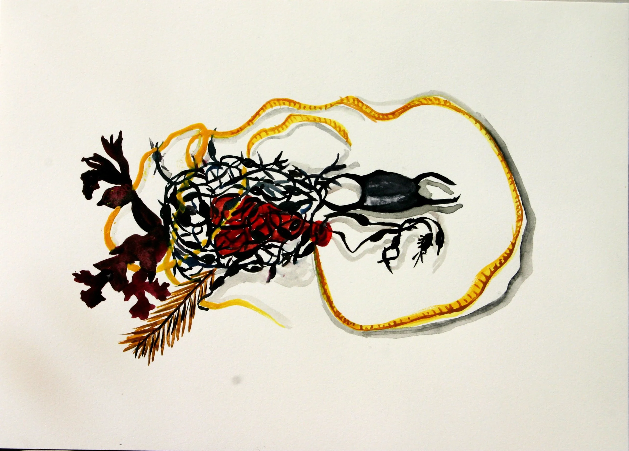 SeaWeed3.jpg