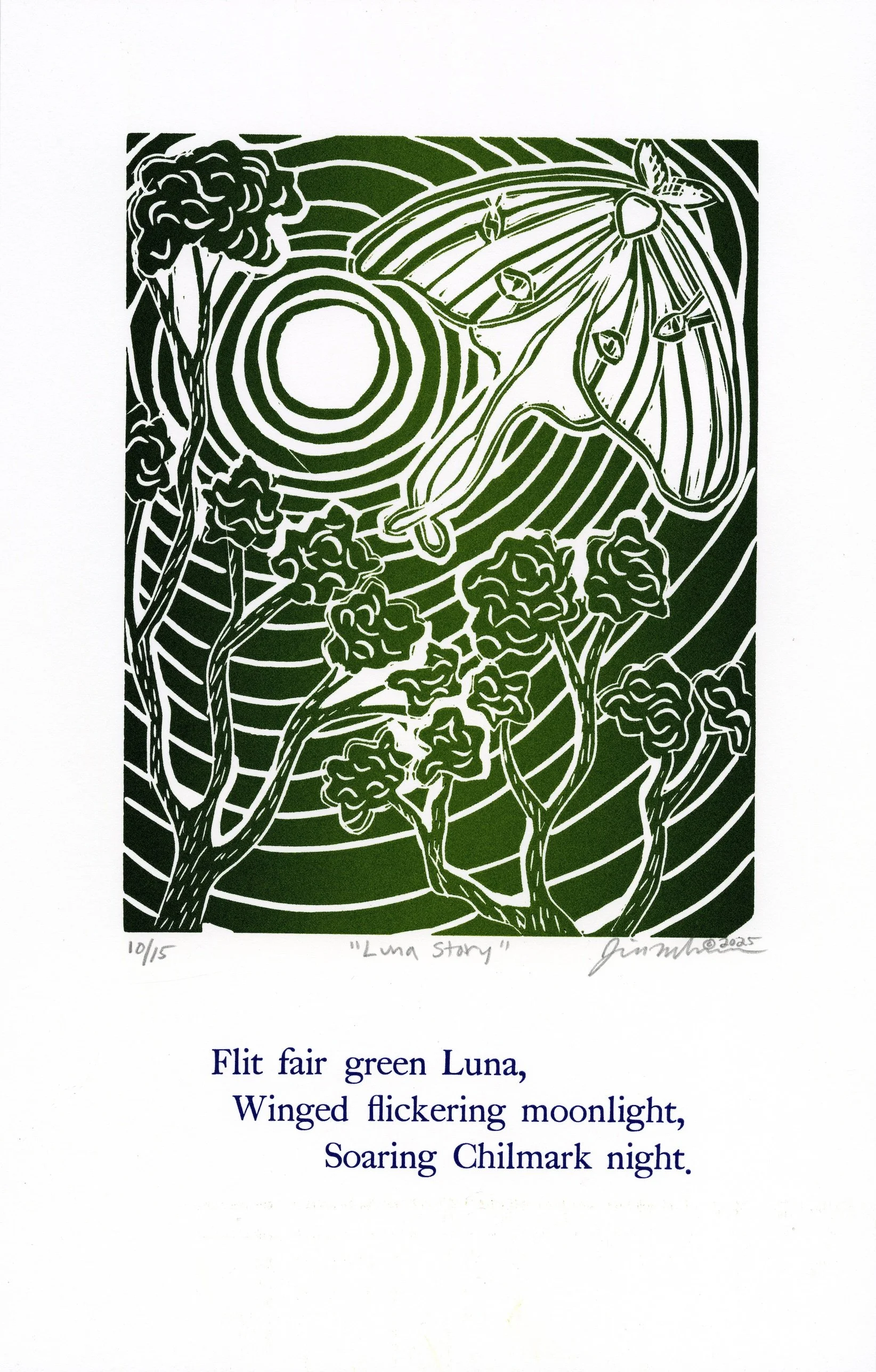 10LunaStory copy.jpg