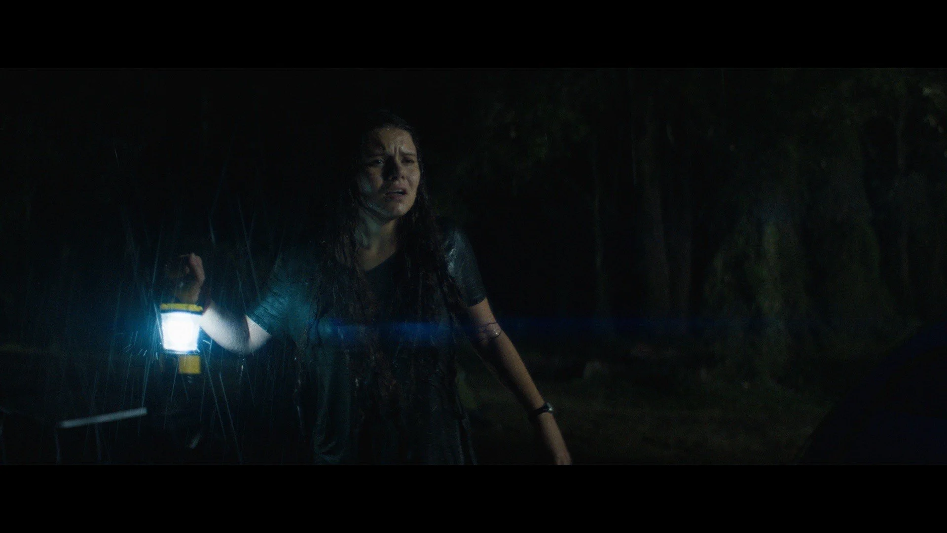 image_6483441 (1).JPG